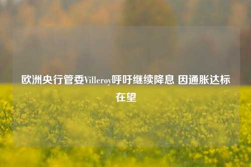 欧洲央行管委Villeroy呼吁继续降息 因通胀达标在望-第1张图片-厦门装修网 