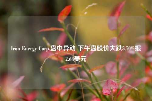 Icon Energy Corp.盘中异动 下午盘股价大跌5.70%报2.68美元-第1张图片-厦门装修网 