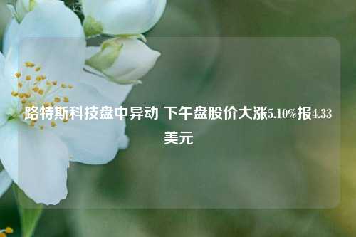 路特斯科技盘中异动 下午盘股价大涨5.10%报4.33美元-第1张图片-厦门装修网 