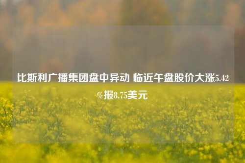 比斯利广播集团盘中异动 临近午盘股价大涨5.42%报8.75美元-第1张图片-厦门装修网 