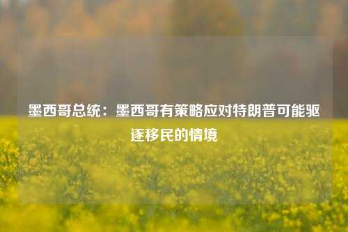 墨西哥总统：墨西哥有策略应对特朗普可能驱逐移民的情境-第1张图片-厦门装修网 