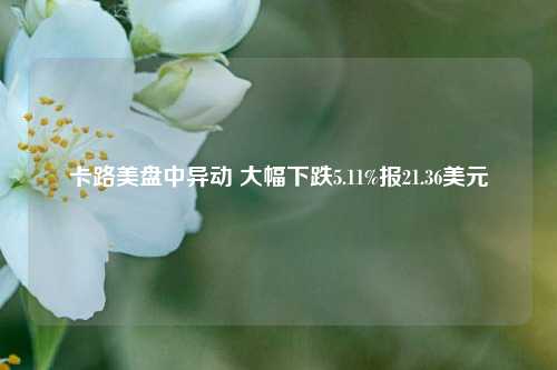 卡路美盘中异动 大幅下跌5.11%报21.36美元-第1张图片-厦门装修网 