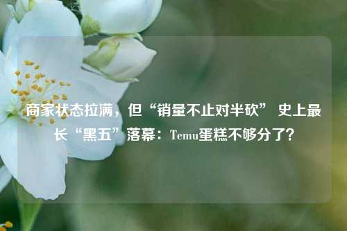 商家状态拉满，但“销量不止对半砍” 史上最长“黑五”落幕：Temu蛋糕不够分了？-第1张图片-厦门装修网 