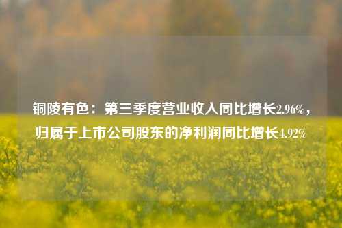 铜陵有色：第三季度营业收入同比增长2.96%，归属于上市公司股东的净利润同比增长4.92%-第1张图片-厦门装修网 