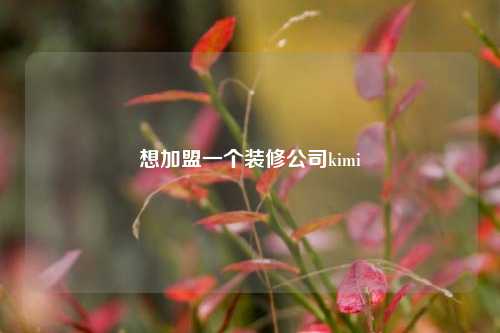 想加盟一个装修公司kimi-第1张图片-厦门装修网 