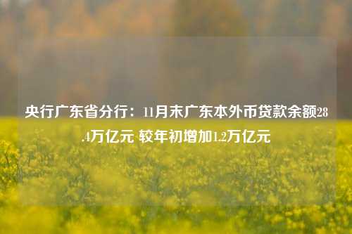 央行广东省分行：11月末广东本外币贷款余额28.4万亿元 较年初增加1.2万亿元-第1张图片-厦门装修网 