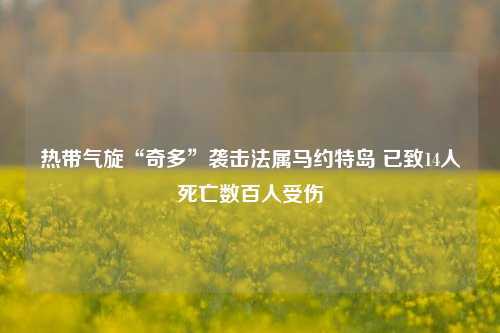 热带气旋“奇多”袭击法属马约特岛 已致14人死亡数百人受伤-第1张图片-厦门装修网 