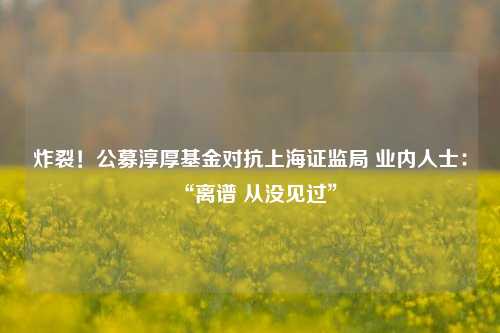 炸裂！公募淳厚基金对抗上海证监局 业内人士：“离谱 从没见过”-第1张图片-厦门装修网 