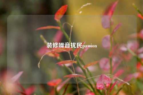 装修噪音扰民passion-第1张图片-厦门装修网 