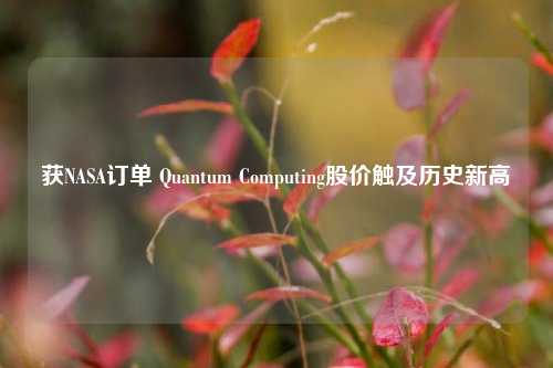 获NASA订单 Quantum Computing股价触及历史新高-第1张图片-厦门装修网 