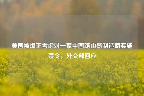 美国被爆正考虑对一家中国路由器制造商实施禁令，外交部回应-第1张图片-厦门装修网 