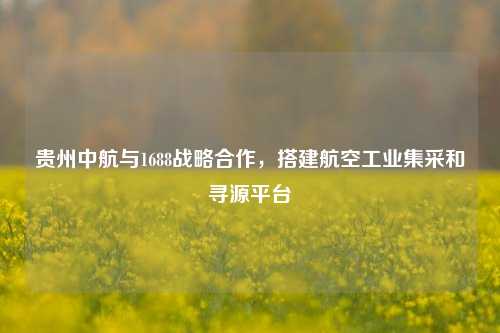 贵州中航与1688战略合作，搭建航空工业集采和寻源平台-第1张图片-厦门装修网 