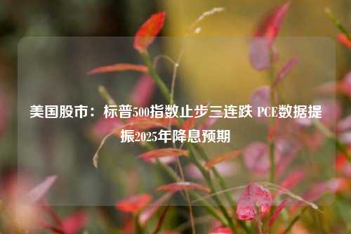 美国股市：标普500指数止步三连跌 PCE数据提振2025年降息预期-第1张图片-厦门装修网 