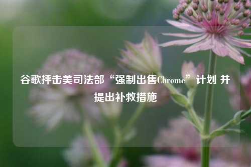 谷歌抨击美司法部“强制出售Chrome”计划 并提出补救措施-第1张图片-厦门装修网 