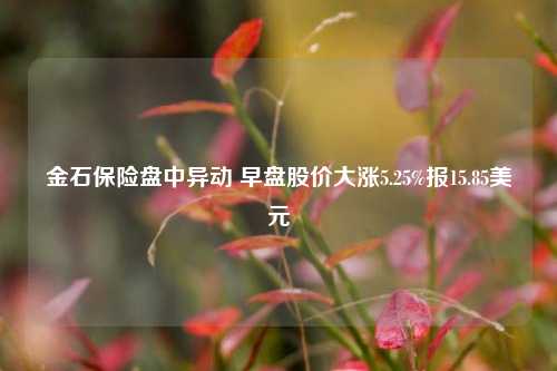 金石保险盘中异动 早盘股价大涨5.25%报15.85美元-第1张图片-厦门装修网 